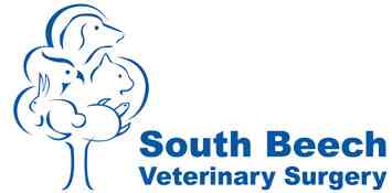 South Beech Veterinary Surgery