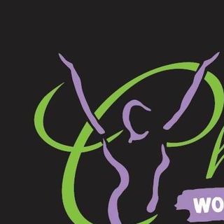 CHARLESTON WOMENS WELLNESS CENTER, LLC