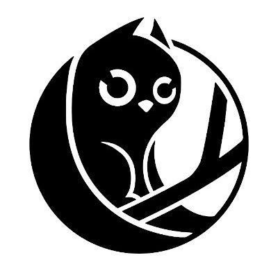Owlcat Games