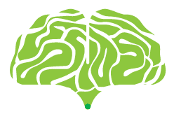 Ginkgo Chiropractic