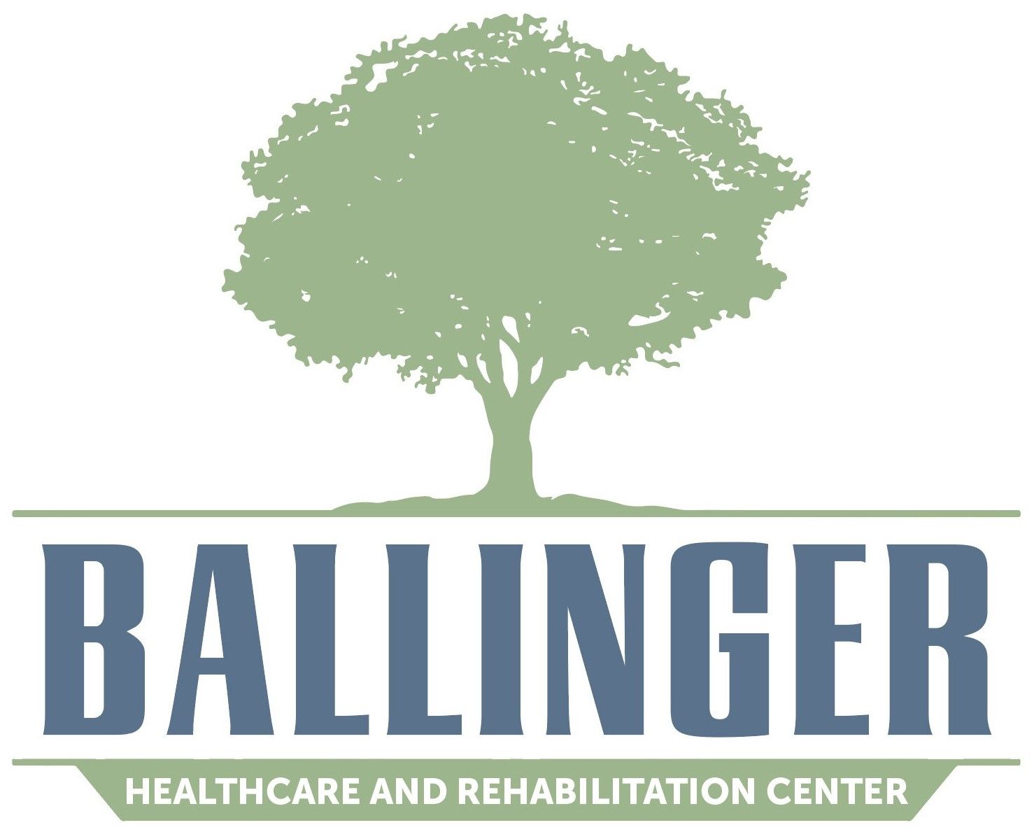 Diversicare Ballinger LLC