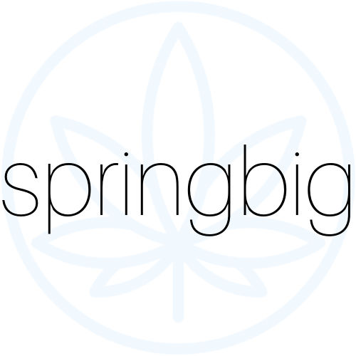 springbig