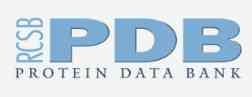 RCSB Protein Data Bank