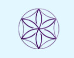 InstaCraft, Inc.