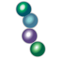 MS Biotech, Inc.