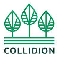 Collidion