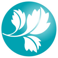 Special Tree Rehabilitation Systems