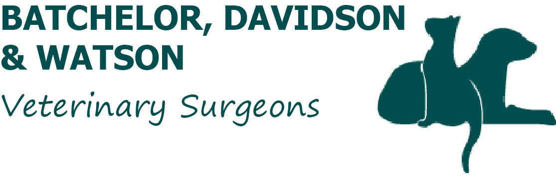 Batchelor, Davidson & Watson