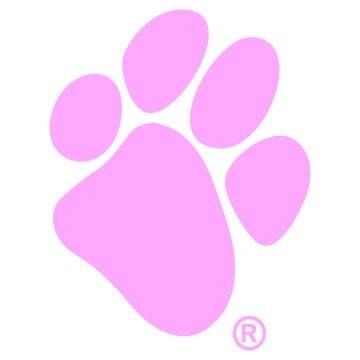 The National Canine Cancer Foundation, Inc.