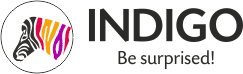 Indigo Paints