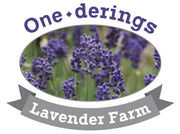 Onederings Lavender Farm