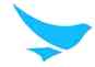 Bluebird