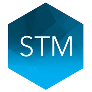 STM Group