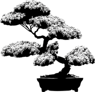 Comprehensive Pain Center