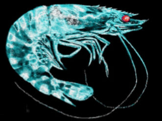 Biocepts International, Inc.