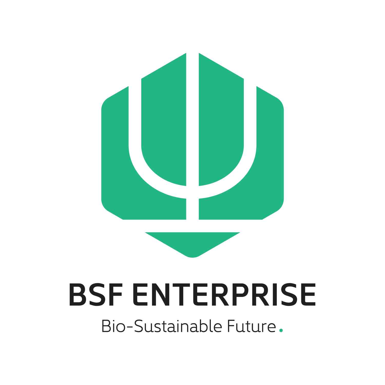 BSF Enterprise