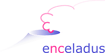 Enceladus Pharmaceuticals BV