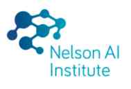 Nelson Artificial Intelligence Institute (NAI)