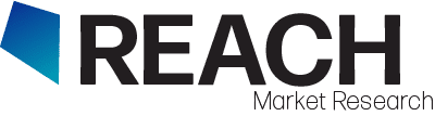 Reach Market Research LLC
