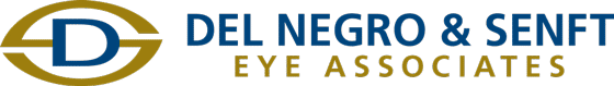 Del Negro & Senft Eye Associates, P C
