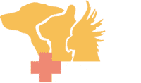 Dierenziekenhuis Drachten