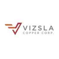 Vizsla Copper
