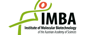 Institute of Molecular Biotechnology