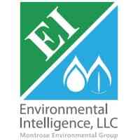 Environmental Intelligence