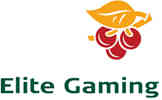 Elite Gaming
