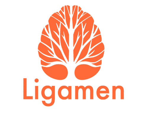 Ligamen