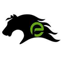 Mustang Extreme Environmental Services