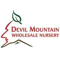 Devil Mountain Wholesale Nursery