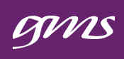 GMS Insurance