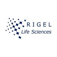 Rigel Leading Solutions