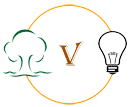Vana Vidyut