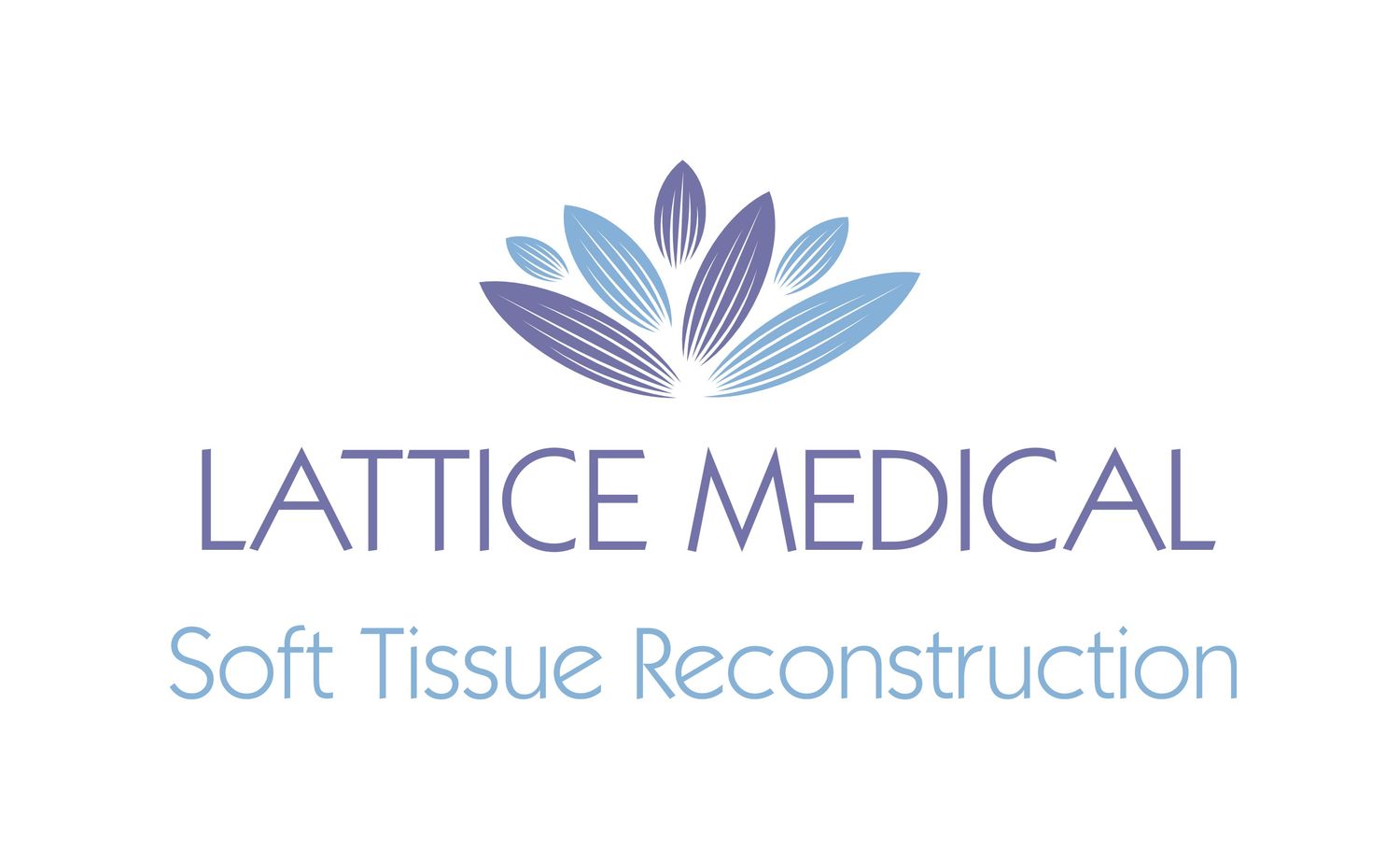 Lattice Medical SAS