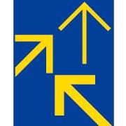 Daishin Trading Co. Ltd.