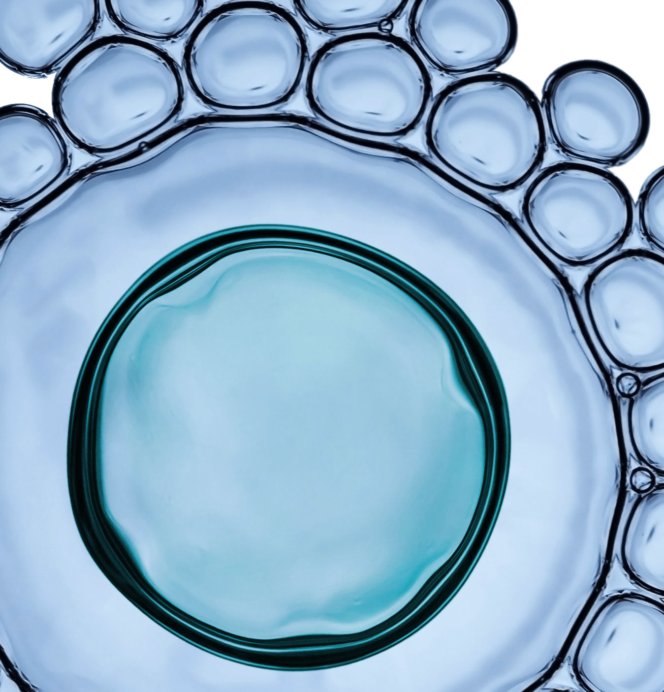 Michal Morrison, Inc.