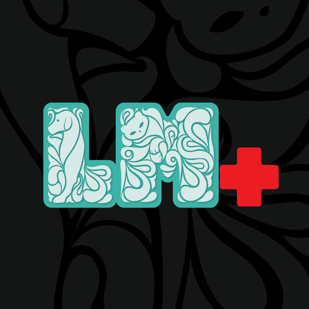 Lm+ Hospital Veterinário