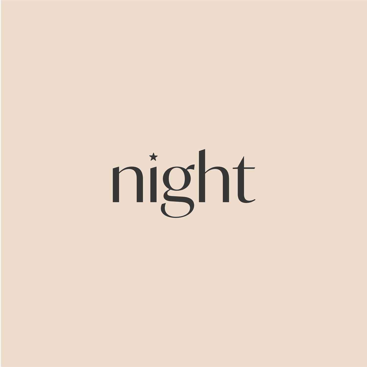 Night Store logo