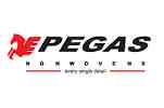 Pegas Nonwovens