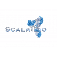 Scalmibio, Inc.