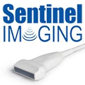 THE SENTINEL IMAGING GROUP INC.