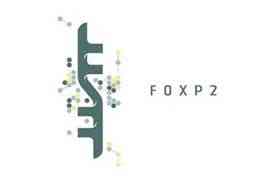 FoxP2