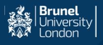 Brunel University