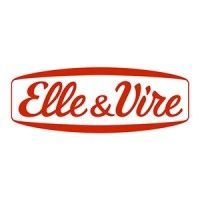 Elvir SAS logo