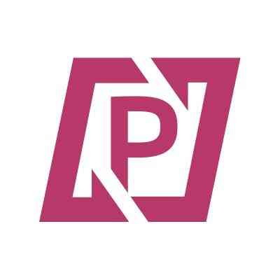 Pragmatists