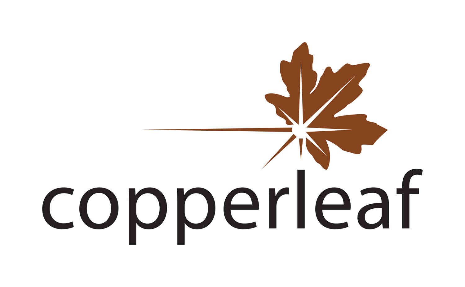 Copperleaf Technologies