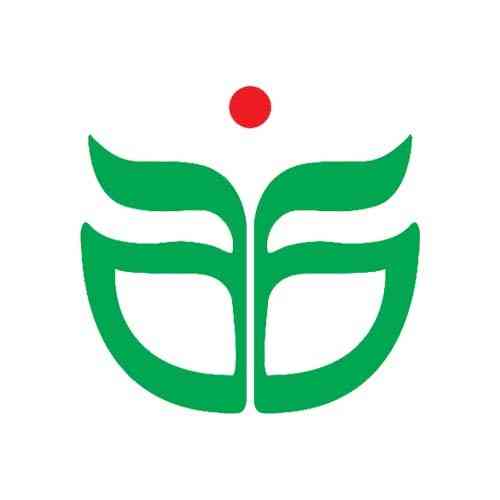 chxsst.com