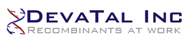 Devatal Inc